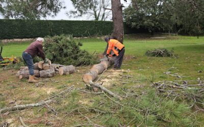 Travaux suite tempête le 24 octobre 2026